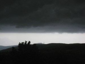 Бела за сайта