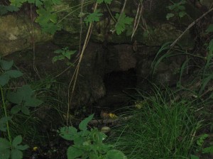 Изворчето до Тодор Бъчвара