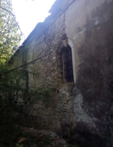 %d0%b1%d0%b5%d0%bb%d0%b0-%d1%86