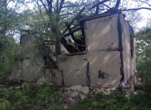 %d1%86%d1%8a%d1%80-%d0%b3%d0%be%d0%bc%d0%be%d1%82-jpg1